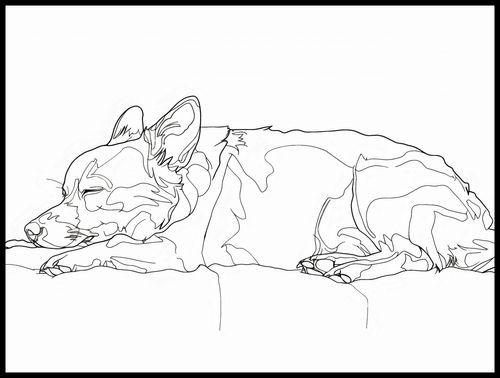 Plakat 100x75cm Śpiący Psiak na Arena.pl