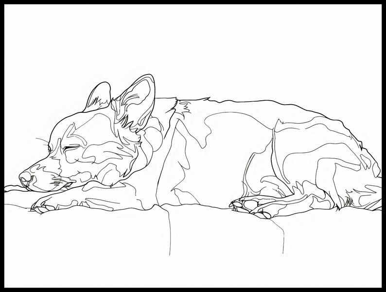 Plakat 100x75cm Śpiący Psiak zdjęcie 2