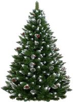 Sosna Diamentowa Szyszka 210 cm