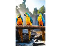 80CM 120 OBRAZ TRZY ARY ŚCIENNY