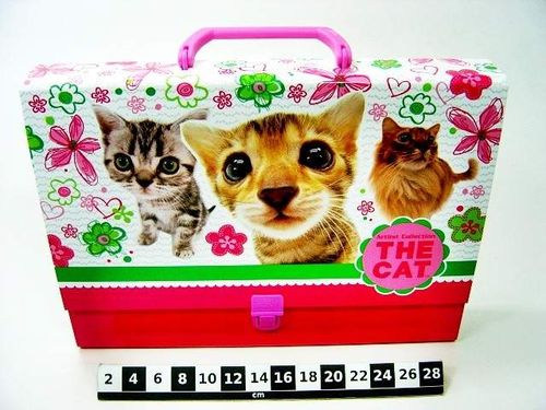 BNK 1895 TECZKA TWARDA Z r.THE CAT na Arena.pl