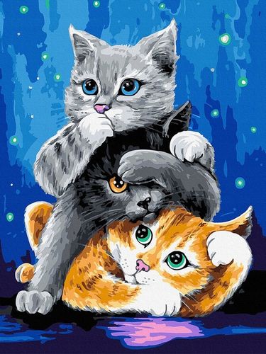 Malowanie po numerach iPicasso 30x40 cm na ramie na Arena.pl