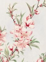 Plakat 60x80cm Peach Tree, Morikaga Japoński Vintage