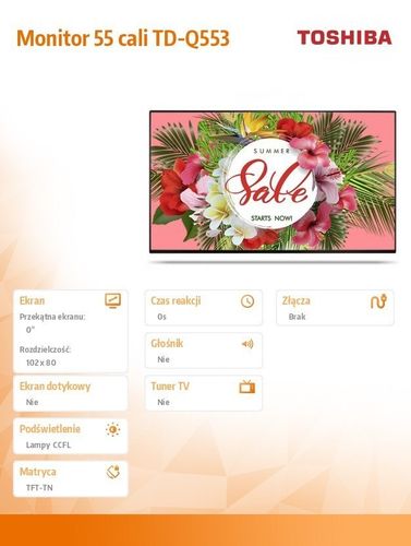 55'' TD-Q553 na Arena.pl