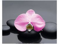 40X50CM RÓŻOWY STORCZYK OBRAZ