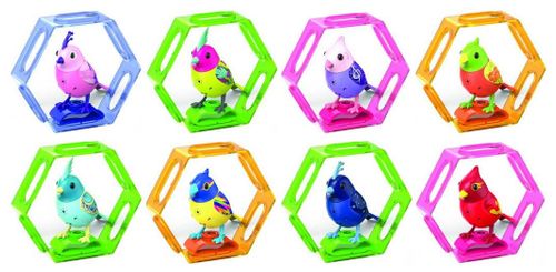DigiBirds ptaszek Melody z ramką na Arena.pl