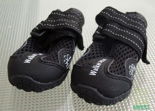 TRIXIE Walker Active Buty psa ochronne z protektorem oddychające 2szt. L-XL na Arena.pl