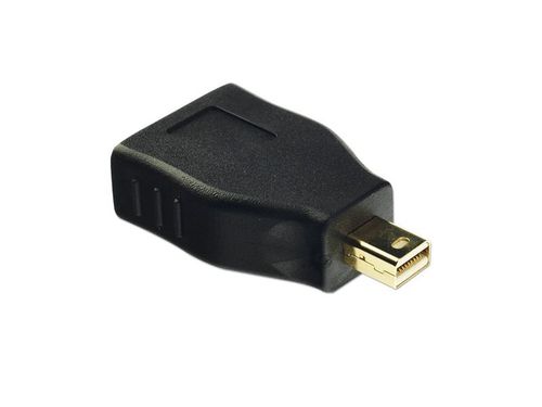 Lindy 41077 Adapter  DisplayPort > Mini DisplayPort na Arena.pl