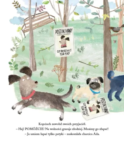 Bardzo dużo kiełbasek na Arena.pl