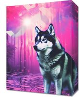 product-compare-59482864