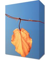 Obraz 20x30cm Ostatni Liść