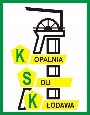 Sól kamienna kłodawska do przetworów 10x1,1kg na Arena.pl