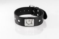 obroża z ćwiekami czarna s primal bond whips