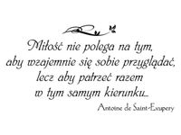60X40CM MIŁOŚĆ NIE POLEGA TYM OBRAZ DRUK