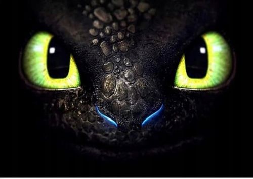 ZESTAW MASKOTEK 2X FURIA NOCNA I BIAŁA FURIA 30CM JAK WYTRESOWAĆ SMOKA SMOK na Arena.pl