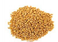 Gorczyca biała miododajna paszowa nasiona 10kg