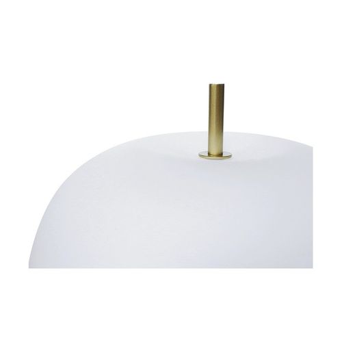 Berella Light Peonia TL BL0138 na Arena.pl