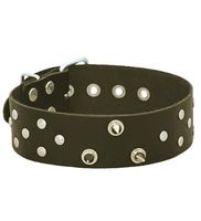 Obroża z kolcami i puklami