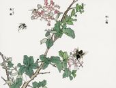 Plakat 20x15cm Końskie Muchy Morimoto Toko Japoński Vintage do Salonu