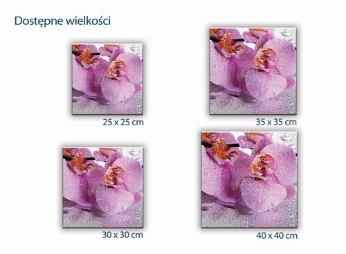 SZKLANA DESKA KUCHENNA 25x25 430e Orchidea na Arena.pl