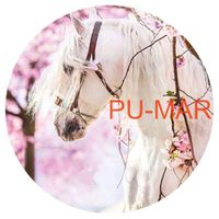 Opłatek na tort KONIE Koń Mustang Konik Kuc Urodziny Tekst Gratis