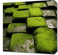 Obraz 50x50cm Zielona Mozaika