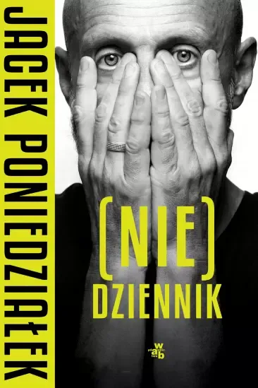 (Nie)dziennik zdjęcie 1