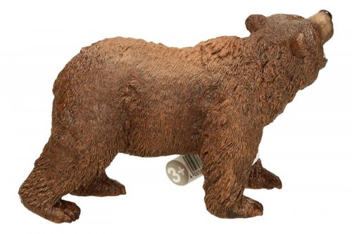 Niedzwiedź Grizzly na Arena.pl