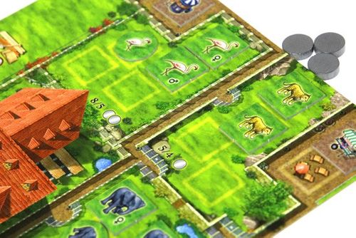 G3 Gra Zooloretto (edycja 2016) na Arena.pl