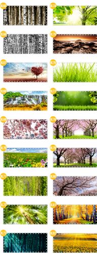 Osłona na balkon dekoracja balkonu SURFINIE kwiaty 10x10 cm na Arena.pl