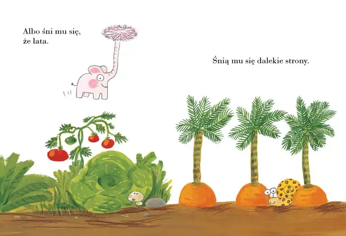 Pomelo śni zdjęcie 4