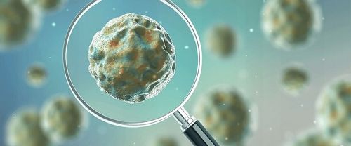 Tabletki biologiczne do szamba 12 + 4szt GRATIS na Arena.pl