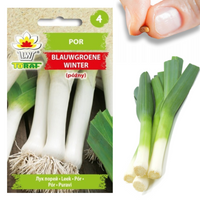 POR NASIONA PORA BLAUWGROENE WINTER TYP ALASKA-PÓŹNY ODPORNY NA MROZY