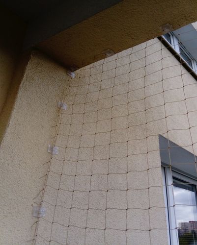 ZESTAW SIATKA NA BALKON DLA KOTA GOŁĘBIE 4x2m, OCZKO 50mm BEZ WIERCENIA na Arena.pl