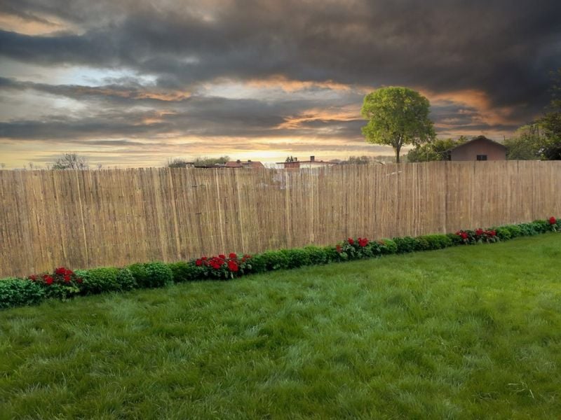 Mata osłonowa bambusowa 1,2x5m zdjęcie 4