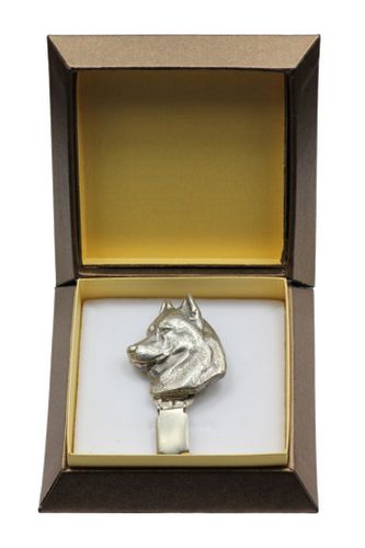 Husky Syberyjski - klips - 2535 na Arena.pl