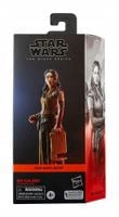 Hasbro Star Wars Black Series Andor Bix Caleen
