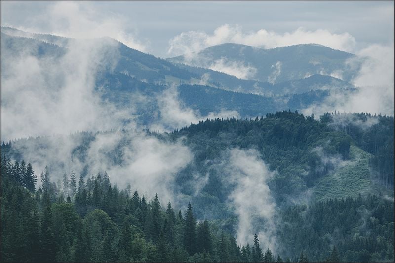 Fototapeta Las we mgle, Leśny Krajobraz, Góry 450x300 na Arena.pl