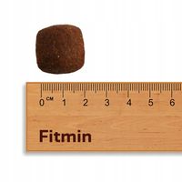 FITMIN For Life Adult Large Breeds 12kg