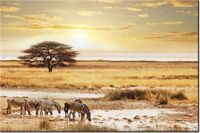 product-compare-58710128