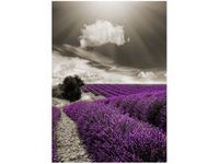 50X70CM LAWENDOWY WIDOK OBRAZ PION ŚCIAN