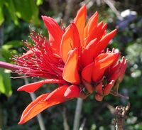 product-compare-54511300