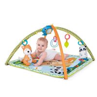 ND17_CC-0425 Chicco Mata edukacyjna Magiczny las 9716