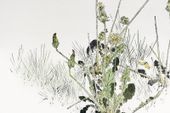 Plakat 30x20cm Wild Dandelions, Seitei Japoński Vintage