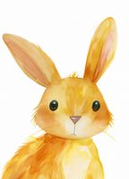 product-compare-59394786