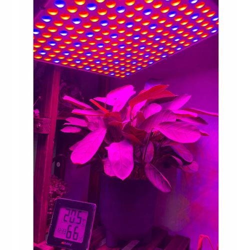 Lampa do Wzrostu Roślin Panel do Uprawy 225 LED + Liny Mocna 36W Wisząca na Arena.pl