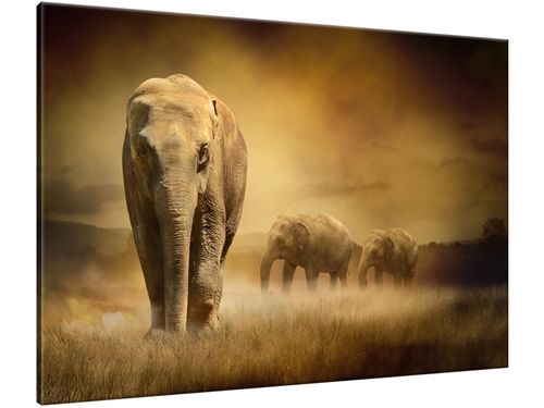 Obraz Wędrujące słonie 100x70 PŁÓTNO na Arena.pl