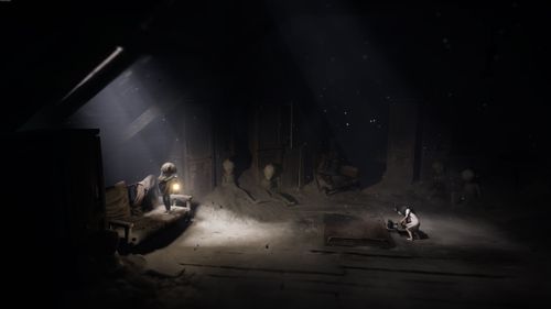 Gra Xbox Series PLAION REANIMAL na Arena.pl