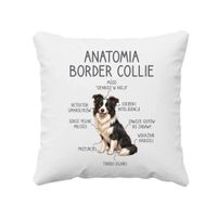 Anatomia border collie - poduszka na prezent PIES PIESEK RASA PUPIL
