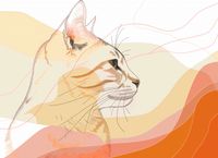 Plakat 55x40cm Delikatny Profil Kota